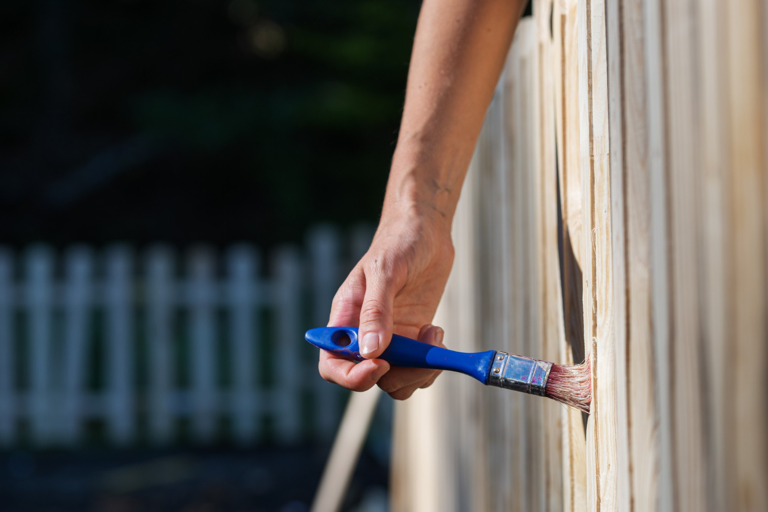 How to renovate a wood fence? Cheap fence restoration