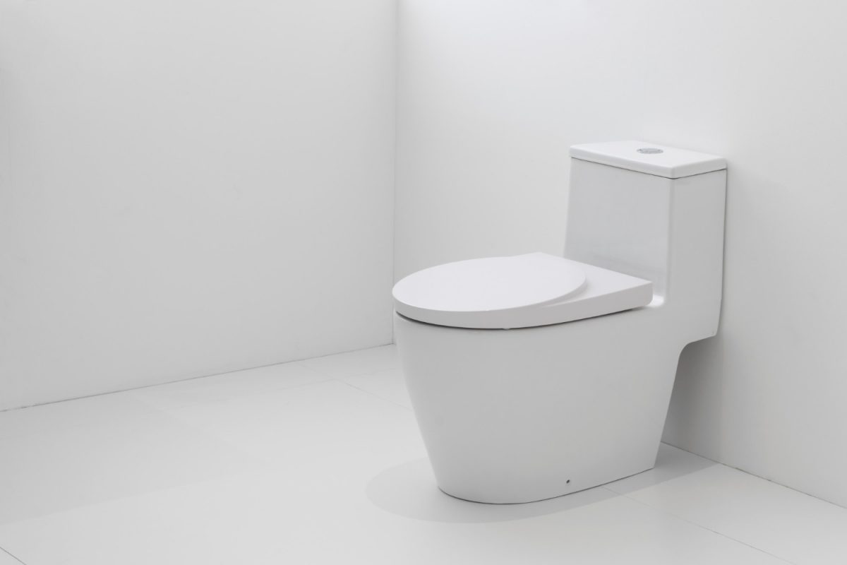 Flangeless toilet bowl – what does it mean and how does it work?