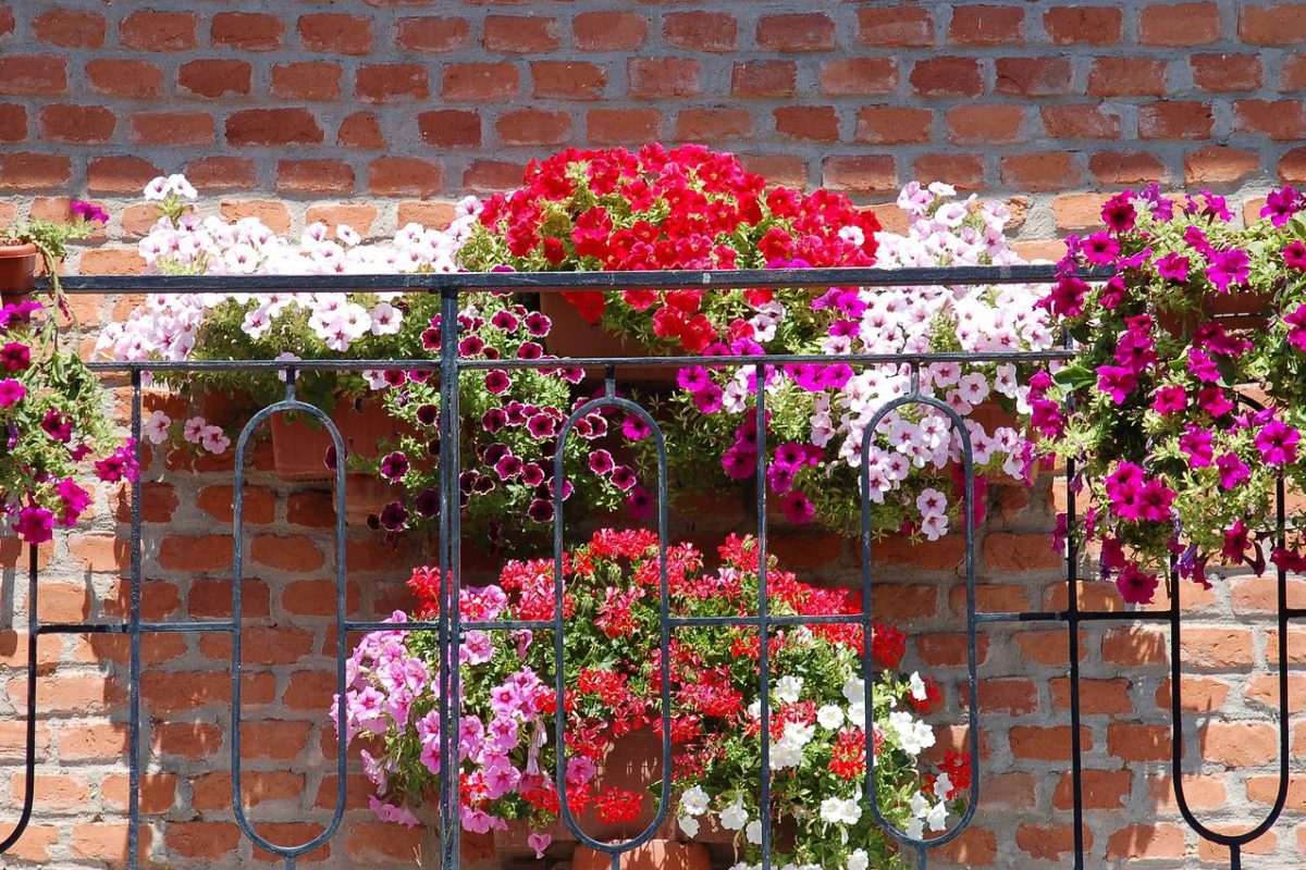 What kind of hanging pots work best on a balcony?