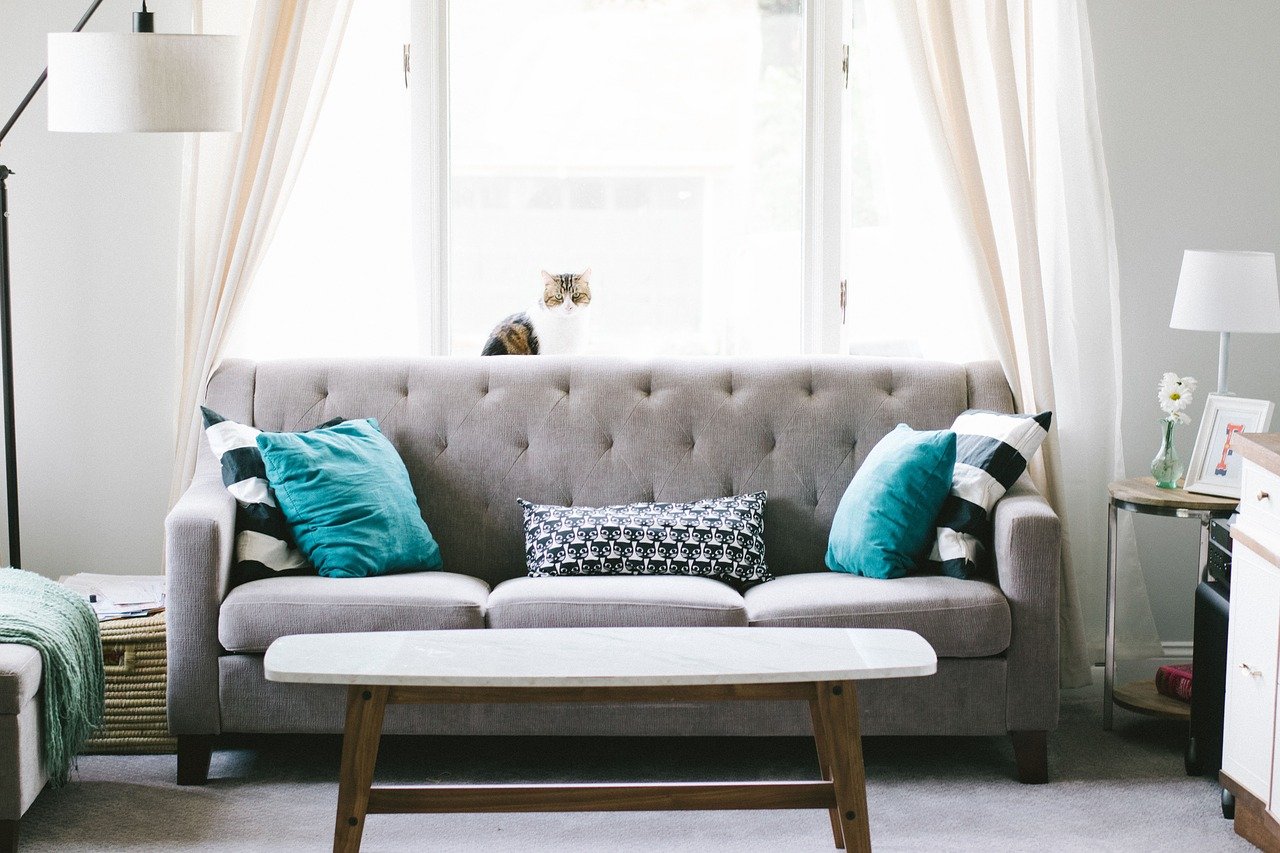 Corner sofa or sofa – which will work better for a small living room?