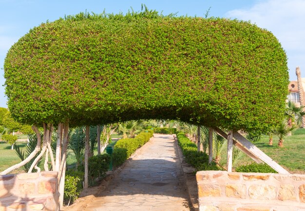 Creative Ways to Incorporate Trellis Panels into Your Garden Design