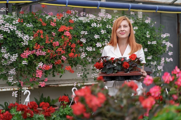 How Can You Transform Your Garden into a Year-Round Oasis?